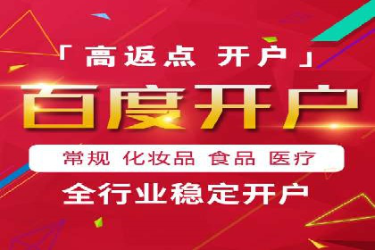 百度竞价运营的挑战与机遇：成功案例探讨